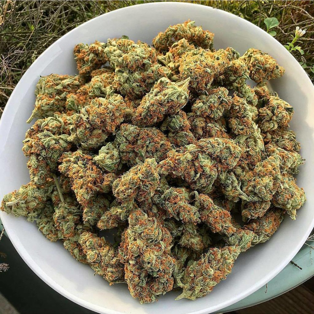 Strawberry Cough | Buy Strawberry Cough Marijuana Online | Medical Marijuana UK