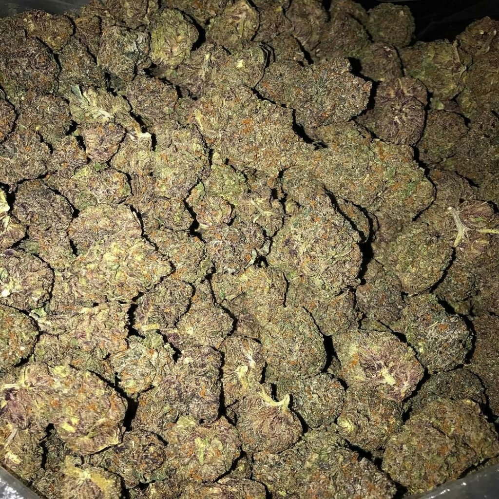 Super Lemon Haze-2.jpg
