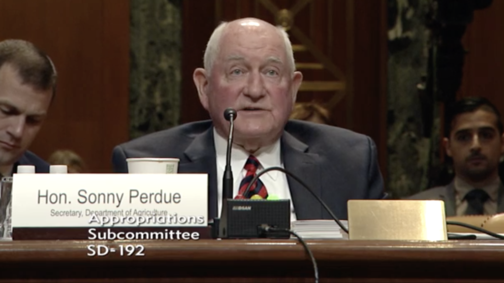 Trump Agriculture Secretary Accepts Invitation To Tour Hemp Farms-Screen-Shot-2019-04-11-at-8.20.38-AM-e1554996425394.png