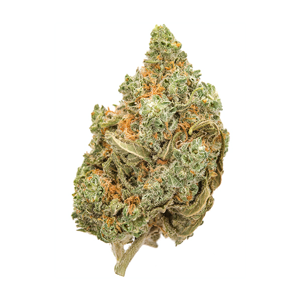Amnesia-haze-1.jpg