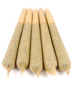 Animal Cookies Pre-Rolled