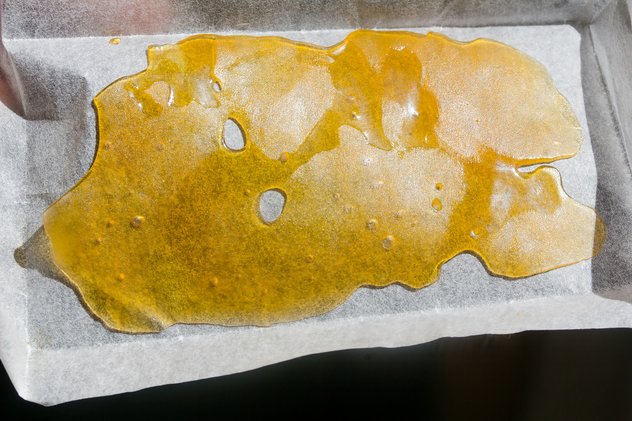 Dawg-Walker-OG-Shatter-1.jpg
