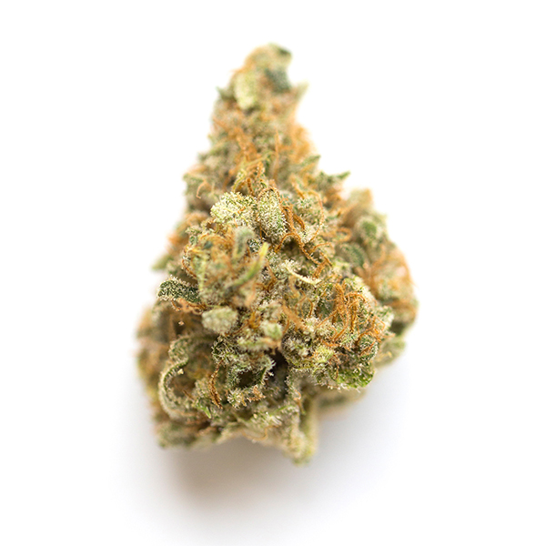 Gelato-45.jpg