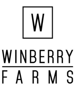 Winberry - Infused Pre-roll Guava OG