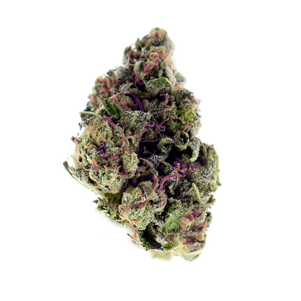 purple-OG-1.jpg